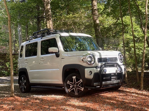 AVANZARE ４×４   HUSTLER