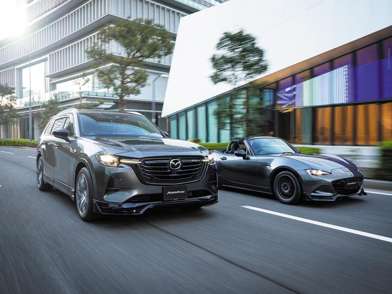 株式会社オートエクゼ